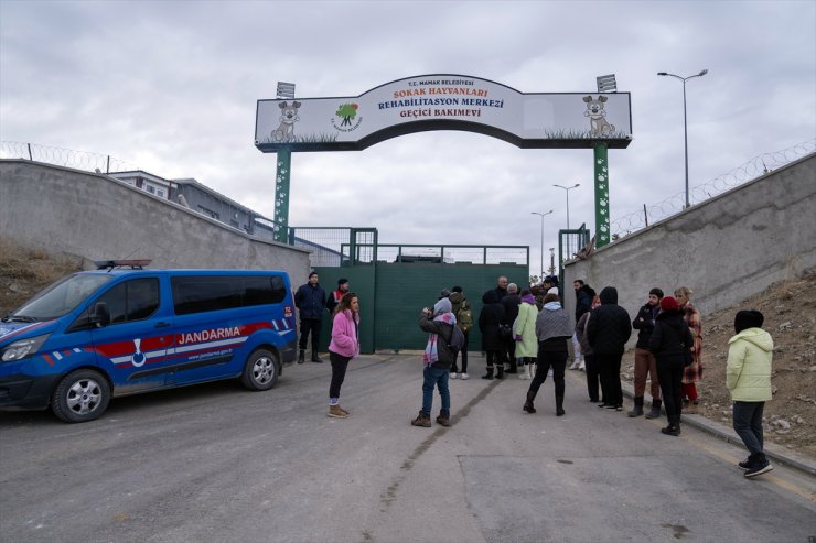 Mamak'ta hayvanların katledildiği iddiası üzerine bir grup vatandaş barınak önünde toplandı