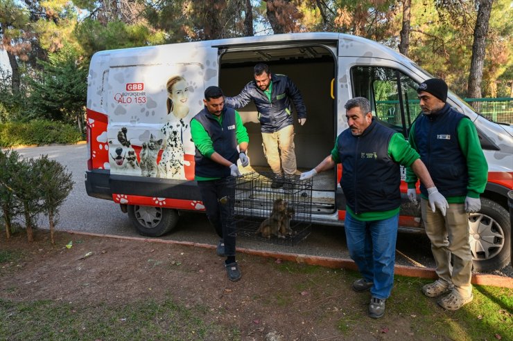 Sınırda yakalanan maymun yavruları yeni yuvalarına yerleştirildi