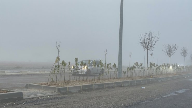 Tekirdağ'da sis etkili oldu