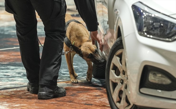 Bosna Hersek'te K9 köpekleri narkotik, silah ve patlayıcı tespiti alanlarında yarıştı