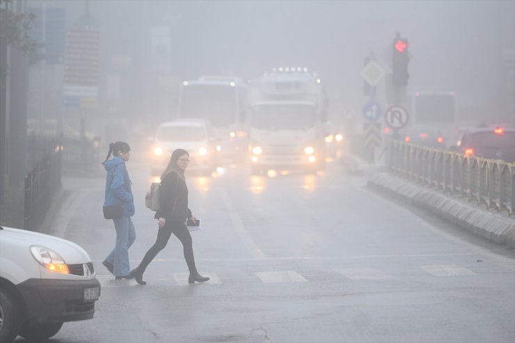 Edirne'de yoğun sis etkili oldu