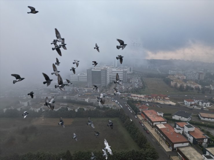 Tekirdağ'da sis etkili oldu