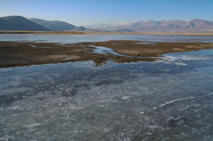 Ağrı'da sulak alanlar buz tuttu