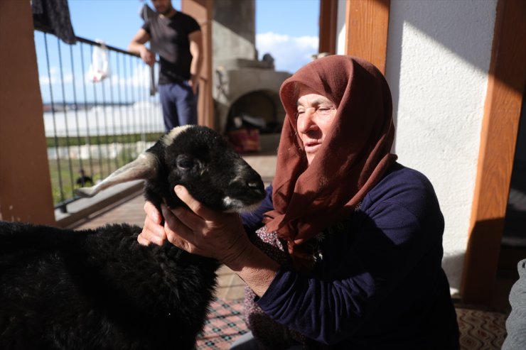 Kar fırtınasından AFAD ekiplerince kurtarılan yaşlı kadın kuzusuna kavuştu