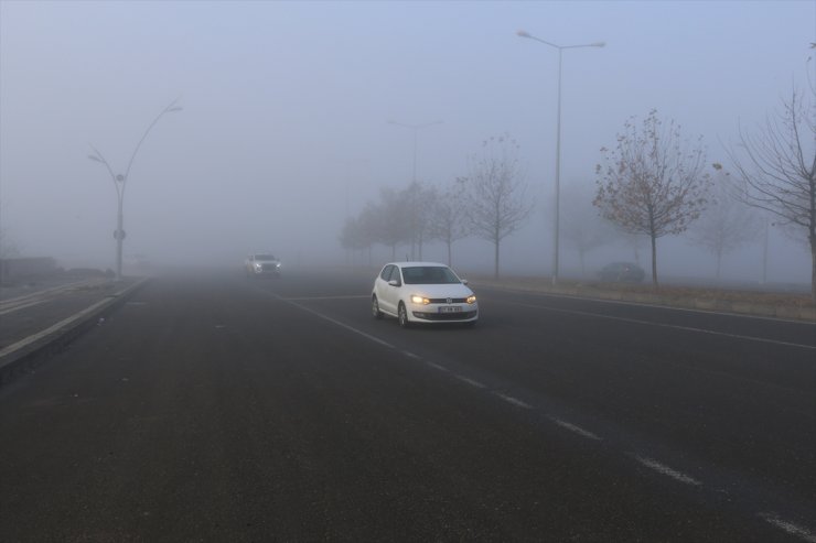 Diyarbakır'da sis etkili oldu