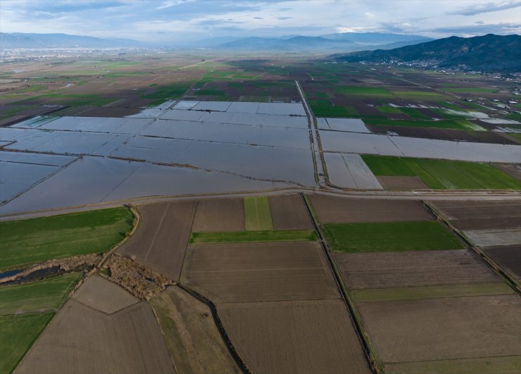 Büyük Menderes Nehri'nde taşkınlar yaşandı