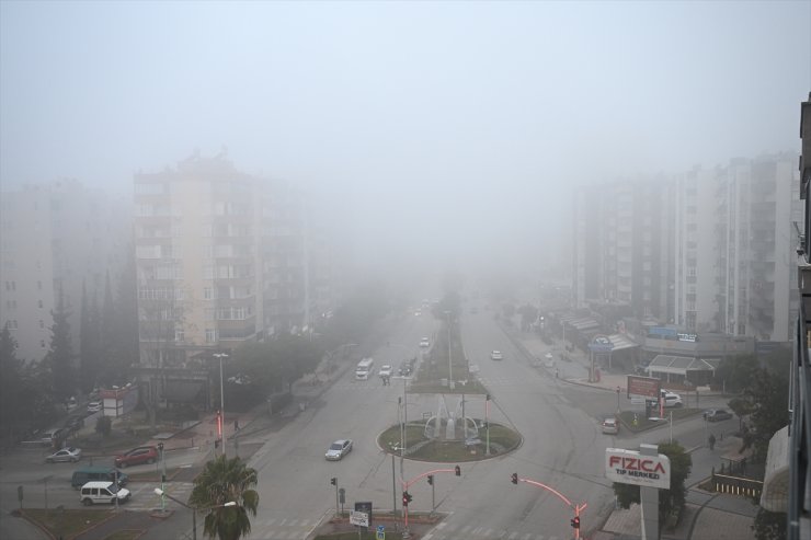 Adana'da sis etkili oldu