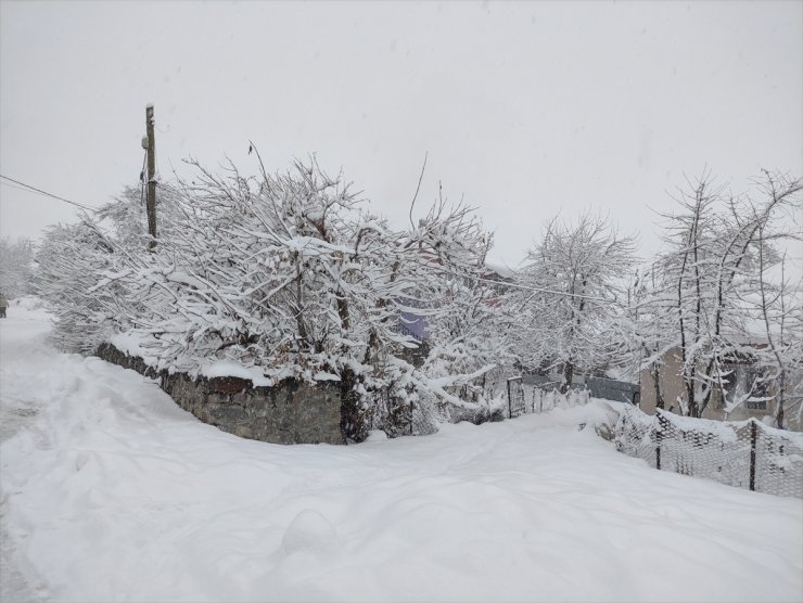 Elazığ ve Bingöl'de 92 yerleşim yerine ulaşım sağlanamıyor