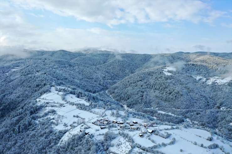 Kastamonu'nun ormanlık alanları beyaza büründü