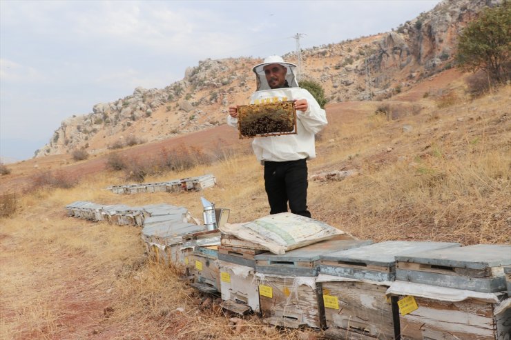 Siirtli genç, kayınpederine özenerek arıcı oldu