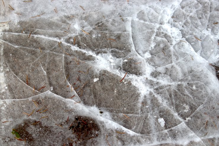 Erzurum, Ağrı, Tunceli ile Ardahan'da soğuk hava ve sis etkili oldu