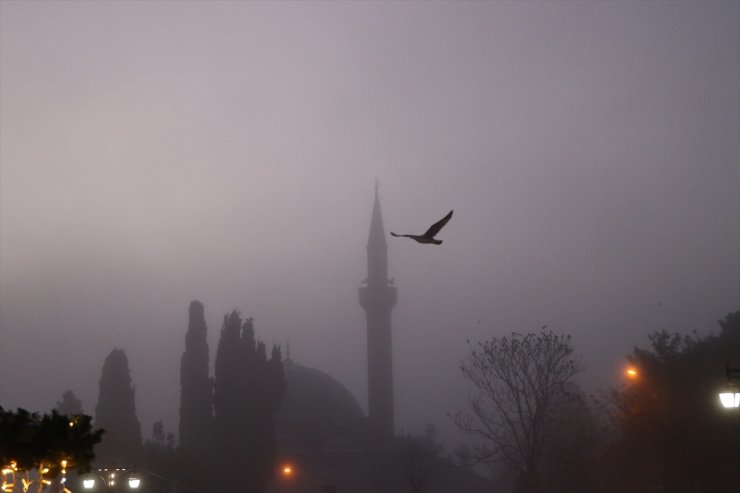 Edirne ve Tekirdağ'da yoğun sis etkili oldu