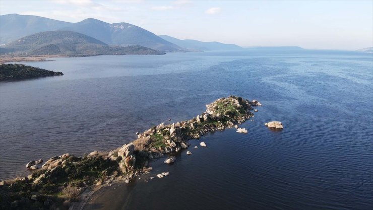 Muğla ve çevresindeki yağış bereketi Bafa Gölü'ne nefes aldırdı