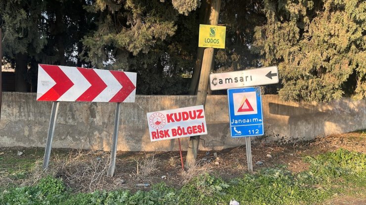 Hatay'da bir mahalle kuduz nedeniyle karantinaya alındı