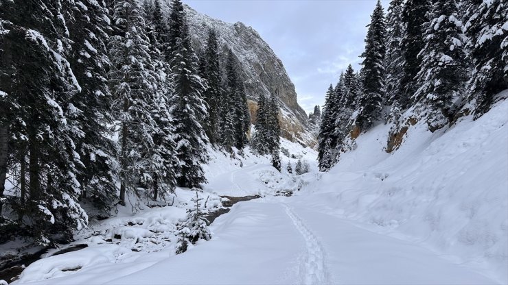 Anadolu'nun yüce dağı Ilgaz doğa tutkunlarını cezbediyor