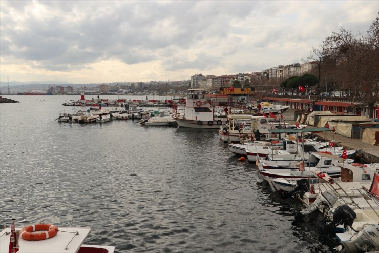 Tekirdağlı balıkçıların yüzü hamsi ve çinekop avıyla gülüyor