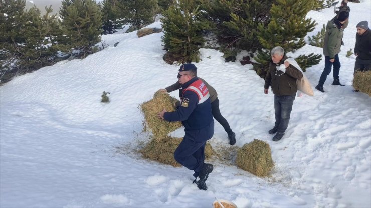 Kazdağları'nda yaban hayvanları için doğaya yem bırakıldı