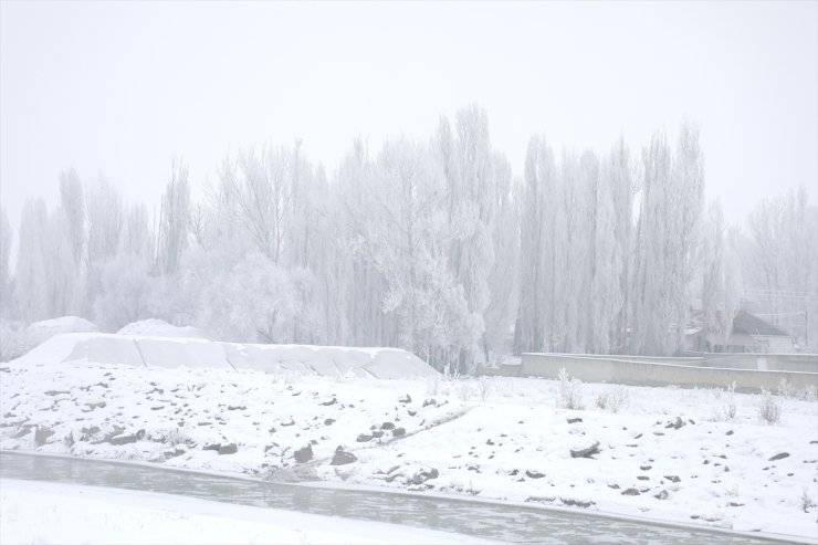 Ağrı'da soğuklar nehir ve dereleri dondurdu