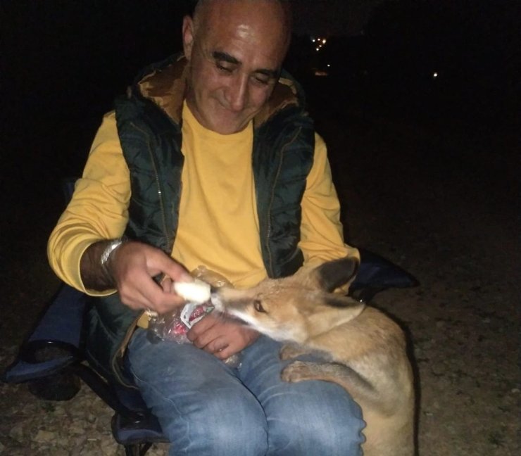 Polisin ormanda karşılaştığı tilkiyle kurduğu dostluk 6 aydır devam ediyor