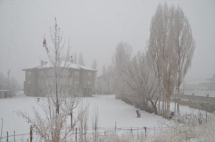 Hakkari'de soğuk hava ve sis etkili oldu