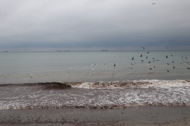 Tekirdağ'da poyraz 3 gündür deniz ulaşımını olumsuz etkiliyor