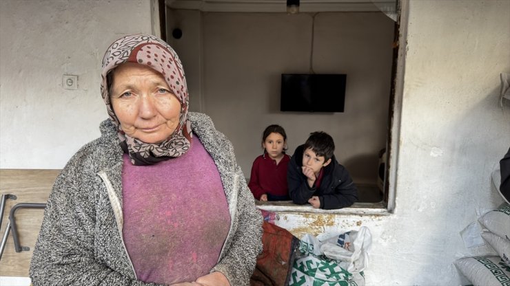 Burdur'da kaçan tosun penceresini kırarak girdiği eve hasar verdi