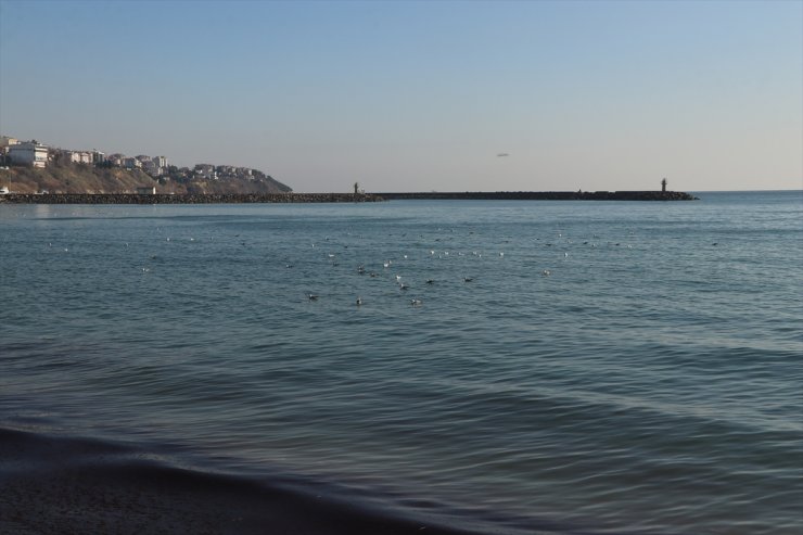 Tekirdağ'da poyraz nedeniyle 5 gündür aksayan deniz ulaşımı normale döndü