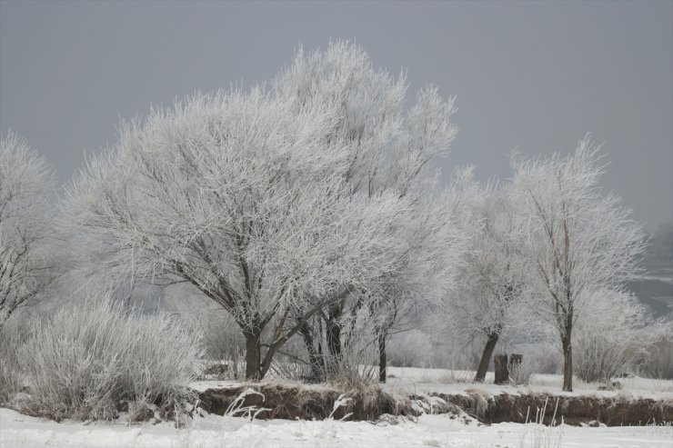 Ağrı'da soğuk hava etkili oldu