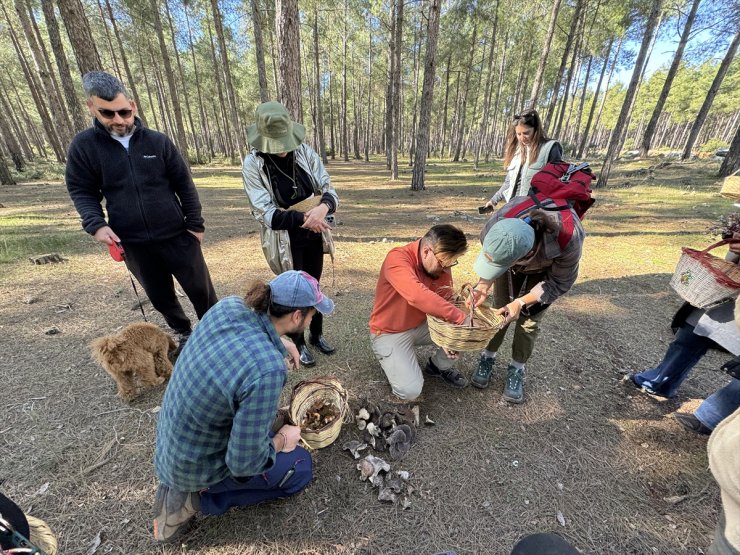 Mantar meraklıları Antalya'da buluştu