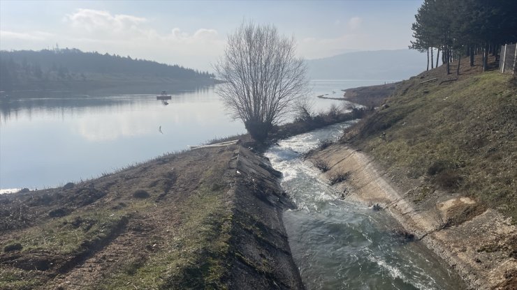 Bolu'nun içme suyu kaynağı Gölköy Barajı'nda su seviyesi yüzde 60'a yükseldi