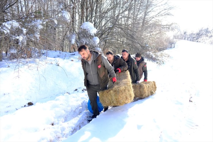 Kırklareli'nde Yıldız Dağları'ndaki yaban hayvanları için doğaya yem bırakıldı