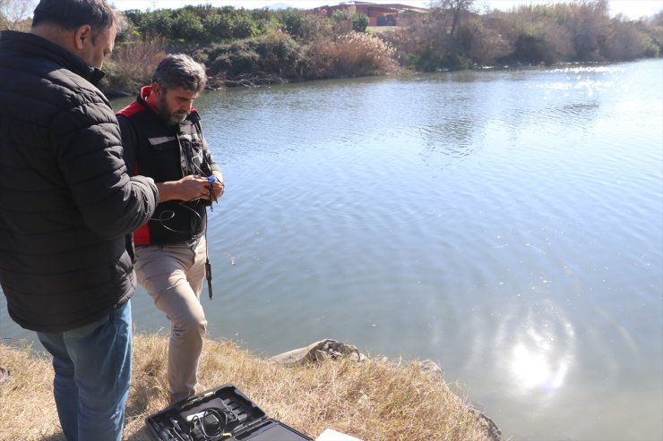 Adana'da balık ölümleri görülen Ceyhan Nehri'nde inceleme sürüyor