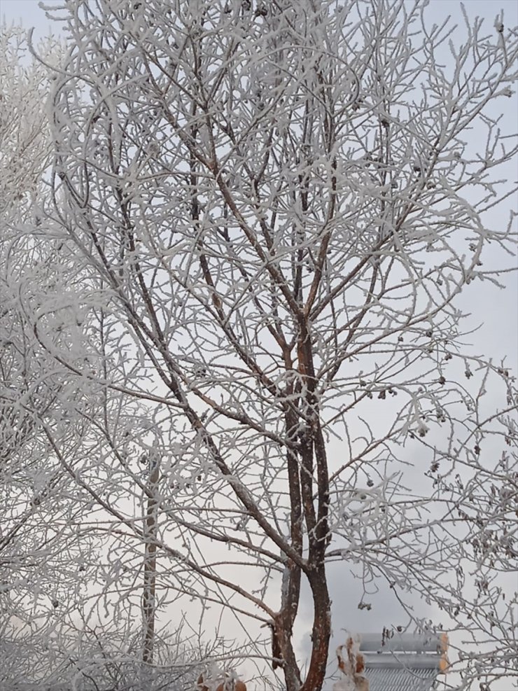 Erzurum, Kars, Ardahan ile Ağrı'da kar ve soğuk hava etkili oldu