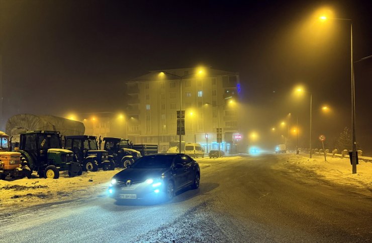 Ardahan'da sis etkili oldu