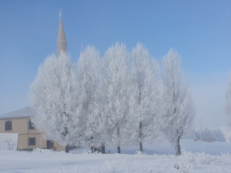 Ardahan, Kars ve Ağrı'da kar yerini soğuk havaya bıraktı