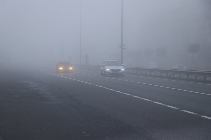 Tekirdağ'da sis karada ve denizde ulaşımı etkiledi