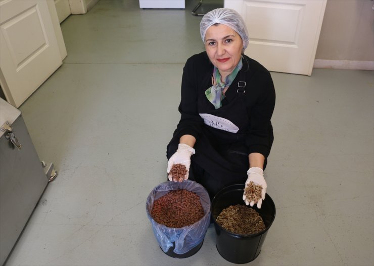 Kadın girişimci hurma çekirdeklerinden kafeinsiz kahve üretti