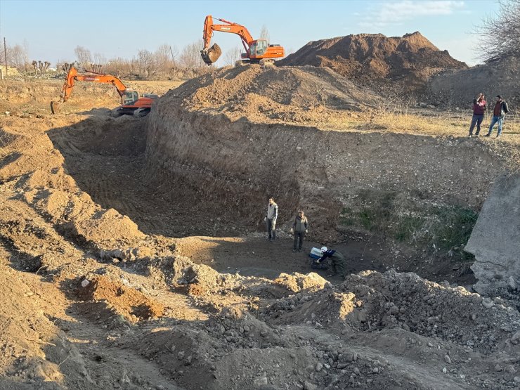 Şanlıurfa'da derede mahsur kalan yaklaşık 500 kaplumbağa bakımlarının ardından doğaya bırakıldı