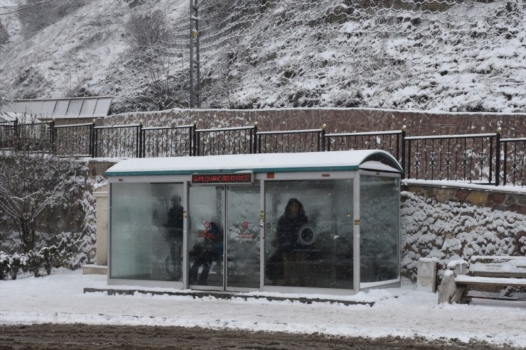 Doğu Karadeniz'de kar yağışı etkili oldu