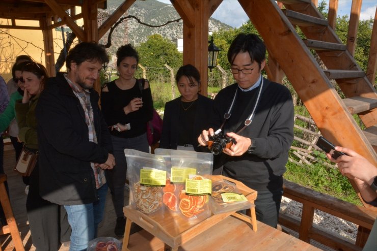 Japon heyet, Antalya'daki tarım alanlarını inceledi