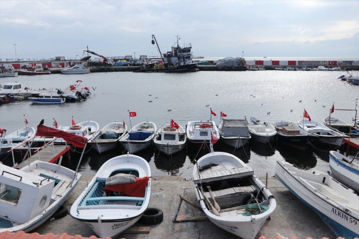 Tekirdağlı balıkçılar poyraz nedeniyle 5 gündür denize açılamıyor