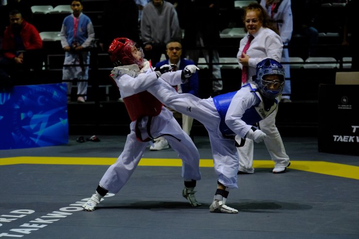 Milli sporculardan Uluslararası Türkiye Açık Tekvando Turnuvası'nda 33 madalya