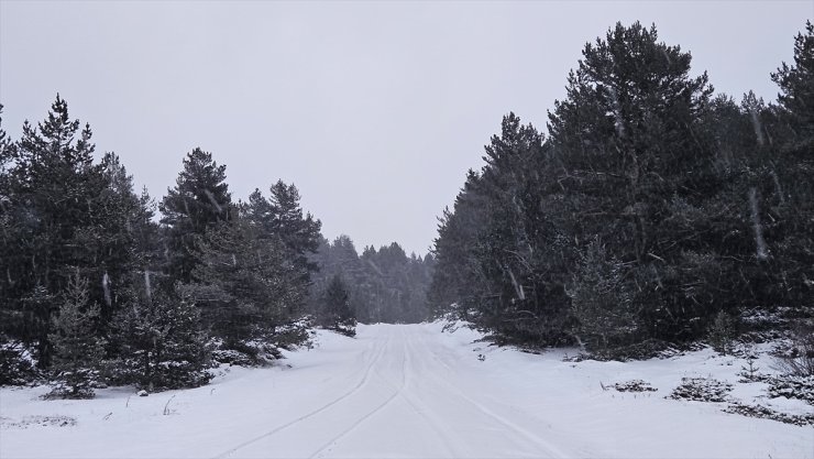 Çankırı ve bazı ilçelerinde kar yağışı etkili oluyor