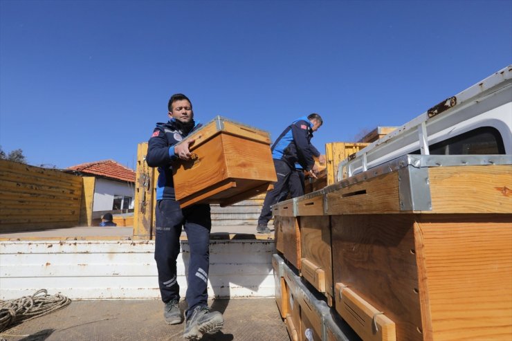 Muğla'da orman yangınlarından etkilenen arıcılara destek verildi