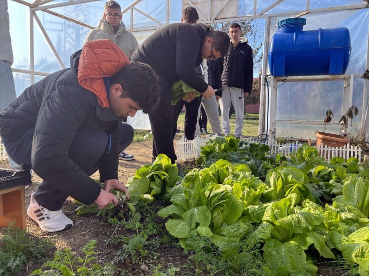 Tekirdağ'da lise öğrencileri okul bahçesinde çiftçiliği öğreniyor