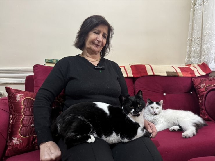 Ailesinden gelen hayvan sevgisi, yarım asırdır evinden sokağına taşıyor