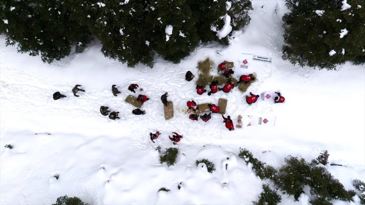Kastamonu'da karlı yolları yaban hayvanları için aşıp doğaya yem bıraktılar