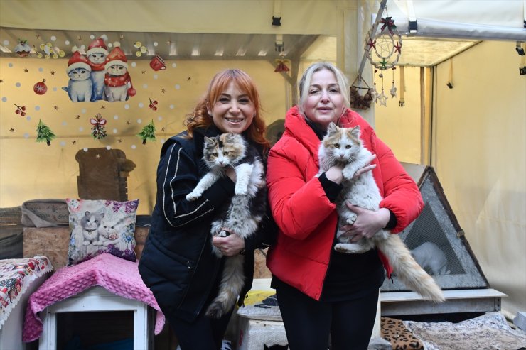 Site bahçesine yaptıkları barınakta 35 kedinin bakımını üstleniyorlar