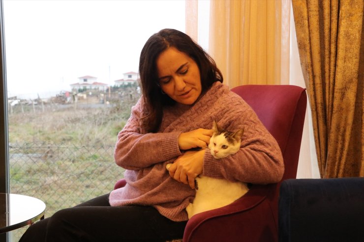 Tekirdağlı hayvansever, görme engelli kedisine anne şefkatiyle bakıyor