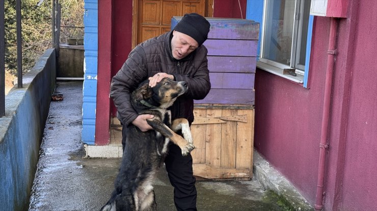 Zonguldak'ta emekli madenci, yaralı bulduğu köpeği tedavisinin ardından sahiplendi